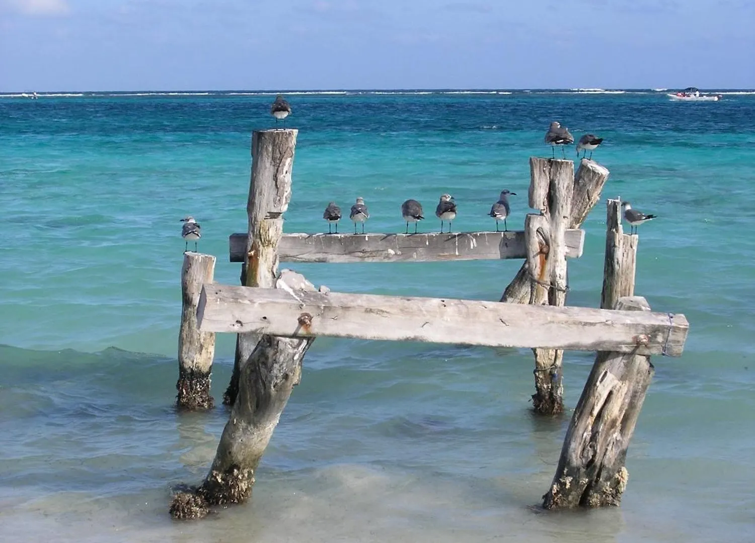 Apartment 2 Br-House In Puerto Morelos With Stunning View Mexico